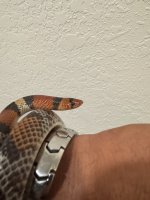 IMG_6106.jpeg