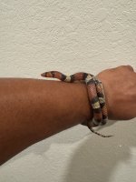 IMG_6107.jpeg
