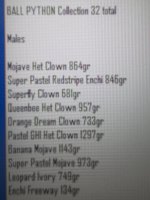 att.q2A8SW8raxPqytVJlG-ihv9j4kkPirhcp2hm6r6S2Og.jpeg
