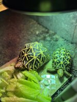 IMG_4302.jpeg
