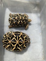 IMG_1760.jpeg