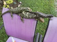 IMG_0149.jpeg