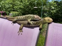 IMG_0157.jpeg