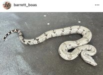 IMG_1142.jpeg