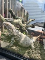 IMG_9215.jpeg