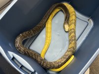 IMG_0711.jpeg