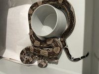 IMG_4915.jpeg