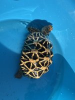 IMG_8143.jpeg