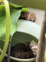 IMG_1563.jpeg
