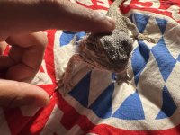IMG_4491.jpeg