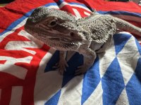 IMG_4488.jpeg