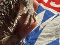 IMG_4486.jpeg