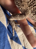 IMG_4483.jpeg