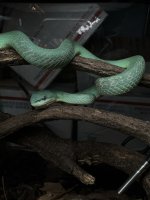 IMG_0425.jpeg