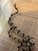 IMG_3064.jpeg