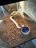 IMG_1997.jpeg
