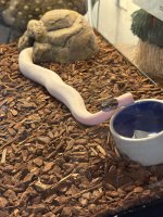 IMG_1994.jpeg
