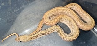 IMG_7221.jpeg