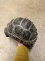 IMG_7819.jpeg