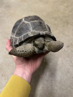 IMG_7822.jpeg