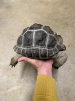 IMG_7823.jpeg