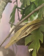 70A4B610-53B6-4900-AC05-3A215BD345BB.jpeg