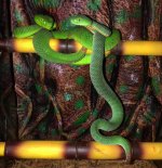 IMG_5829.jpeg