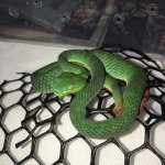 IMG_5830.jpeg