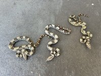 IMG_1738.jpeg