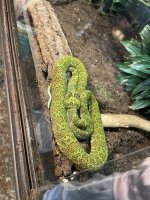 IMG_2178.jpeg
