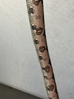 IMG_1879.jpeg
