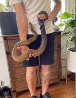 IMG_2861.jpeg