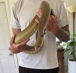 IMG_2866.jpeg