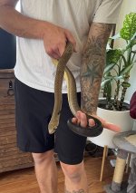IMG_2872.jpeg