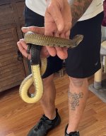 IMG_2879.jpeg