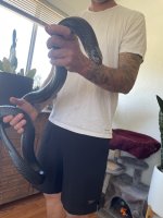 IMG_2895.jpeg