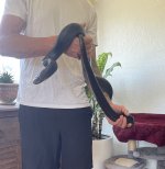 IMG_2891.jpeg
