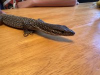 IMG_4578.jpeg