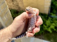 IMG_3951.jpeg