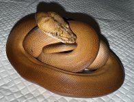 IMG_5941.jpeg