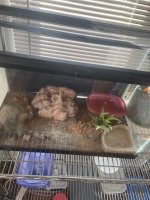 IMG_2473.jpeg