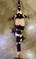 IMG_0177.jpeg