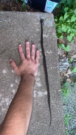 IMG_8242.jpeg