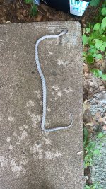 IMG_8240.jpeg