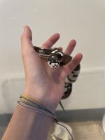 IMG_7562.jpeg