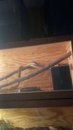 IMG_8227.jpeg