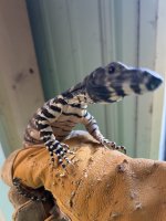 IMG_0261.jpeg