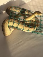 IMG_2714.jpeg