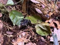 IMG_0875.jpeg