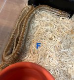 IMG_5436.jpeg